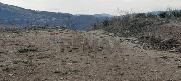 Terreno in vendita a Caccamo - Foto 7
