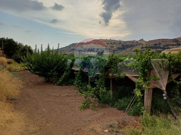 Terreno in vendita a Chiaramonte Gulfi - Foto 3