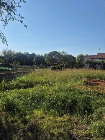 V005534 - MOZZECANE – AMPI TERRENI EDIFICABILI ADIACENTI IN NUOVA ZONA RESIDENZIALE - Foto 3