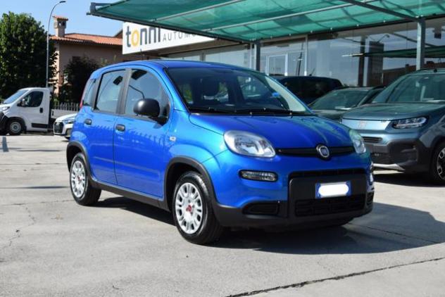 FIAT Panda 1.0 Firefly Hybrid 70cv S&S rif. 23944860