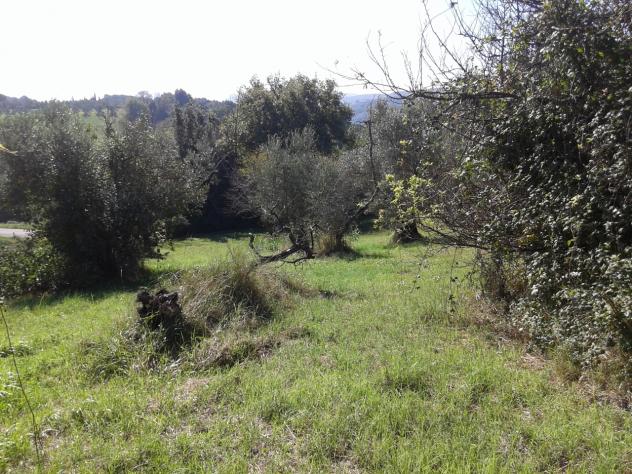 Terreno edificabile in vendita a Casciana Terme Lari - Foto 8