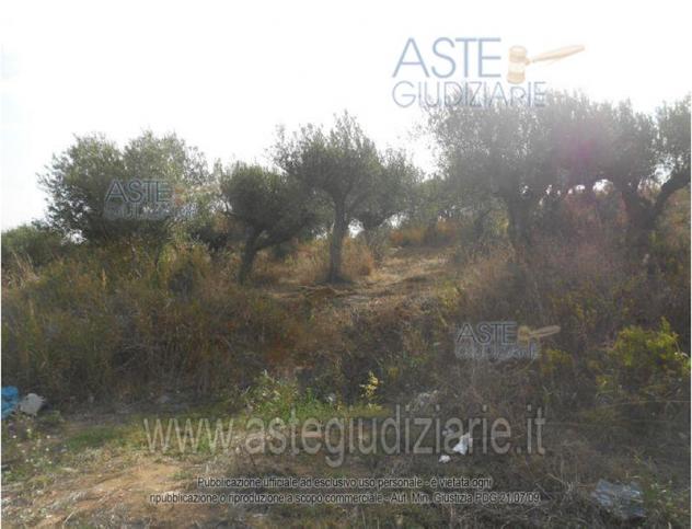 IMMOBILI-ALTRA CATEGORIA-Contrada Bosco d'Alcamo, 91011 Alcamo TP, Italia - Foto 3