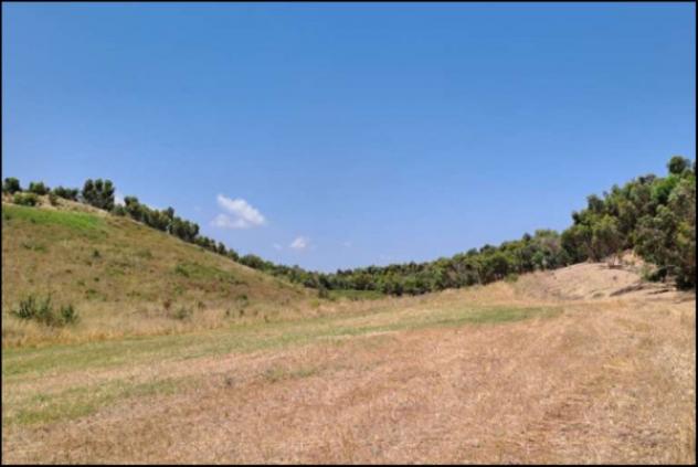 Immobile in asta di 35400 m² in vendita a Crotone - Foto 4
