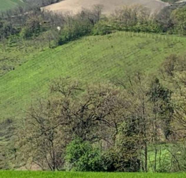 Immobile in asta di 81 m² in vendita a Monte Vidon Combatte - Foto 9
