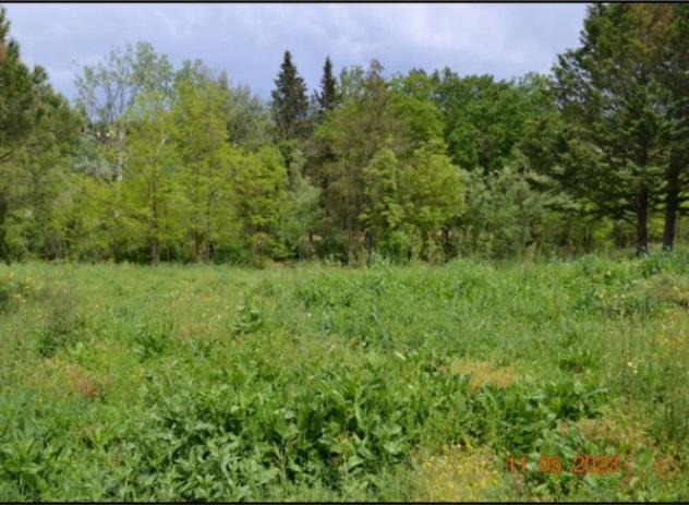Immobile in asta di 7918 m² in vendita a Montespertoli - Foto 2