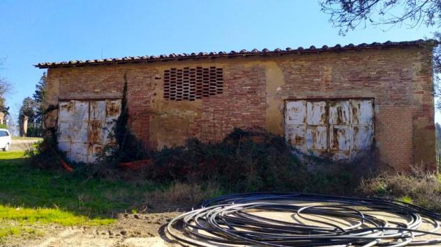 Bellissimo Podere con Casali Diruti Da Restaurare Immerso nel Verde delle Colline Pisane della Valdera - Foto 7