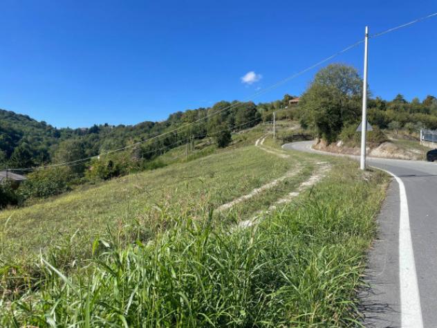 Terreno di 6000 m² in vendita a Pavarolo