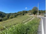 Terreno di 6000 m² in vendita a Pavarolo