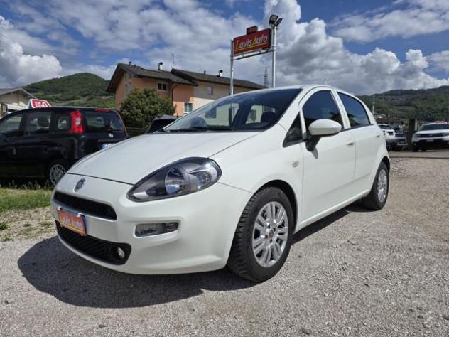 FIAT Punto 1.3 MJT II S&S 95 CV 5 porte Street rif. 23536105 - Foto 2