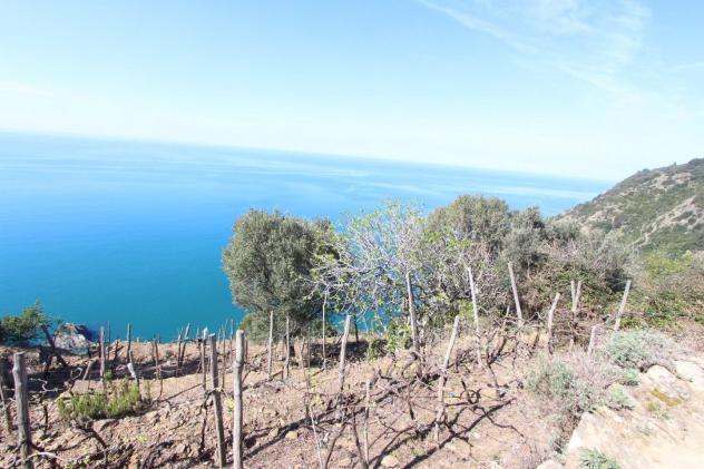 Appartamento in vendita a La Spezia 53 mq Rif: 1405630 - Foto 9