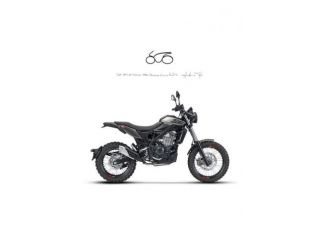 BETAMOTOR Alp X