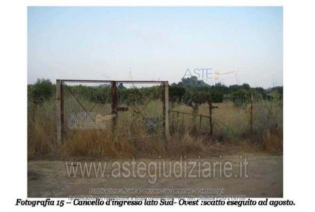 IMMOBILI-ALTRA CATEGORIA-Località Su Parargiu - Foto 6