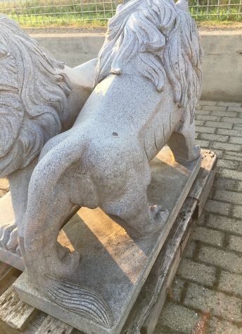 Coppia di leoni in pietra granito - Foto 6