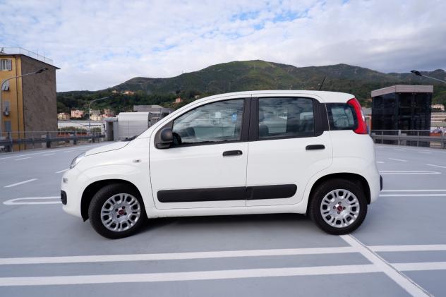 Fiat Panda 5 Posti 1.2 69CV E6D-TEMP EASY - Foto 2