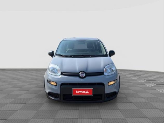 FIAT Panda Panda 1.0 FireFly Hybrid City Life rif. 24026722 - Foto 8