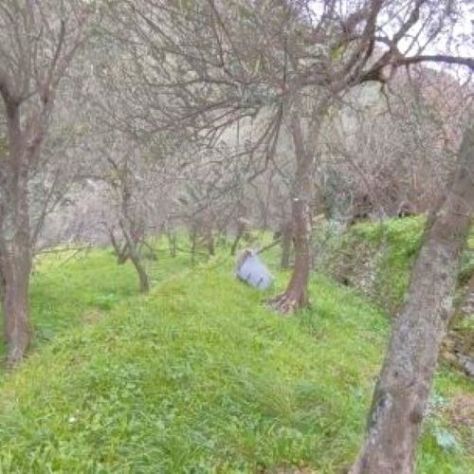 Rif. 8227 – Cogorno – Sulla prima collina di Lavagna – Terreno con Progetto Appr - Foto 9