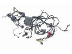 CABLAGGIO VANO MOTORE FORD EcoSport Serie JN15-12A581-BCG Z2JA Diesel 1500 (12)