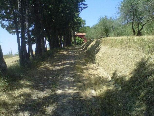 Rustico in vendita a Legoli - Peccioli 300 mq Rif: 1382136 - Foto 8
