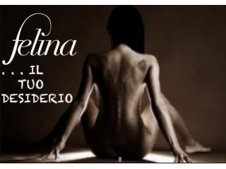 Massaggi - benessere Pescara - Studio FELINA Tel:3311958888