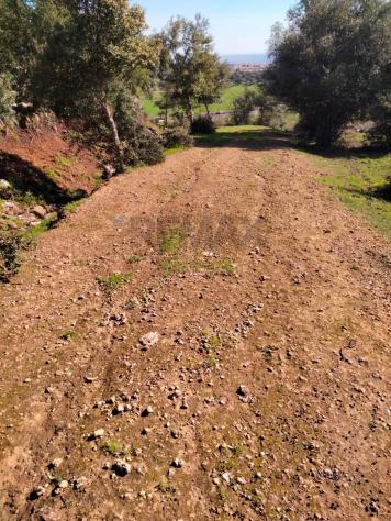 Terreno in vendita a Francofonte - Foto 13