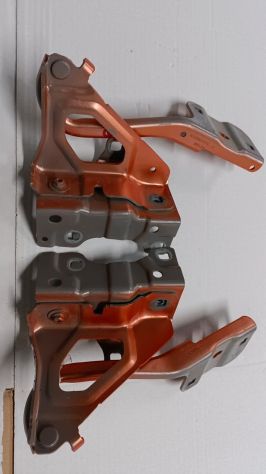 Cerniere cofano ant DX E SX  Renault Clio 2020 65401080R