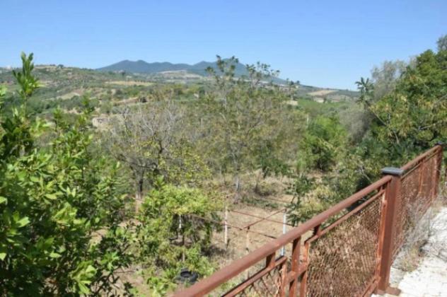 Immobile in asta di 1856 m² in vendita a Barile - Foto 2