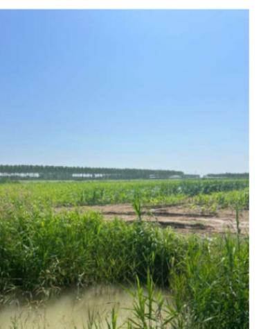 Immobile in asta di 21 m² in vendita a Villimpenta - Foto 8