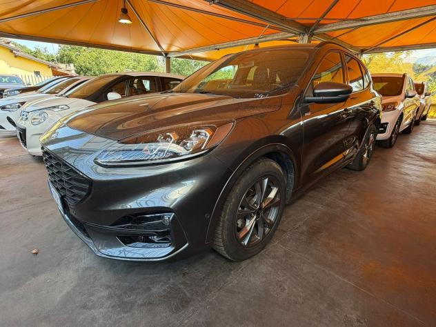 Ford Kuga 2.0 EcoBlue 120CV 2WD ST-Line X Auto