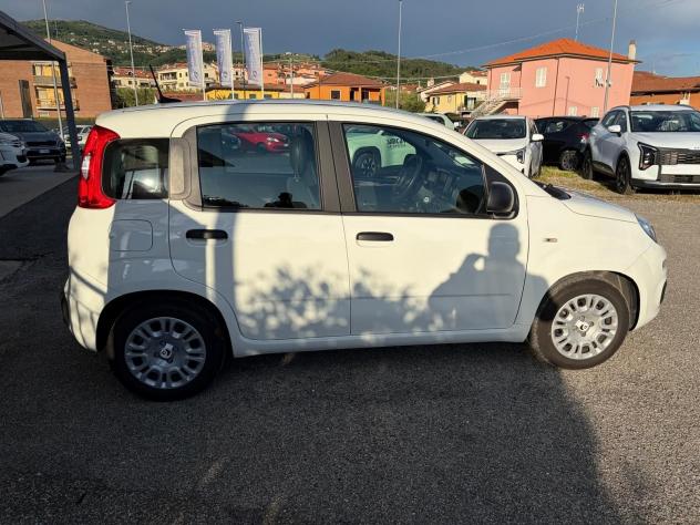FIAT Pandina 1.0 FireFly 65cv S&S 6m Hybrid Icon - Foto 7