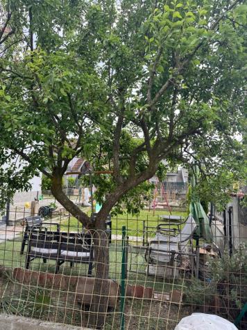 Quadrilocale in vendita a Settimo Torinese - Foto 18