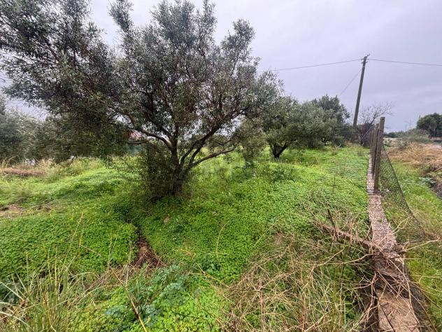 Terreno in vendita a Carlentini - Foto 5
