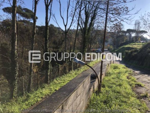 Terreno in vendita a Roma - Rif. 3564643 - Foto 6