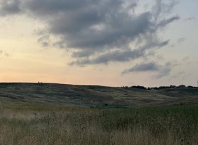 Immobile in asta di 57 m² in vendita a Tarquinia - Foto 4
