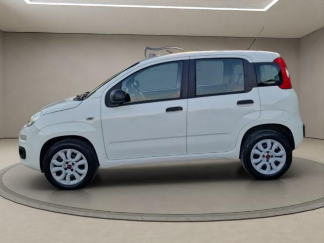 FIAT Panda 0.9 TwinAir Turbo S&S Easy rif. 24038910 - Foto 2