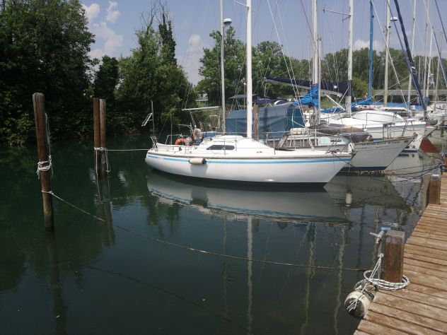 Barca ⛵ - Foto 2