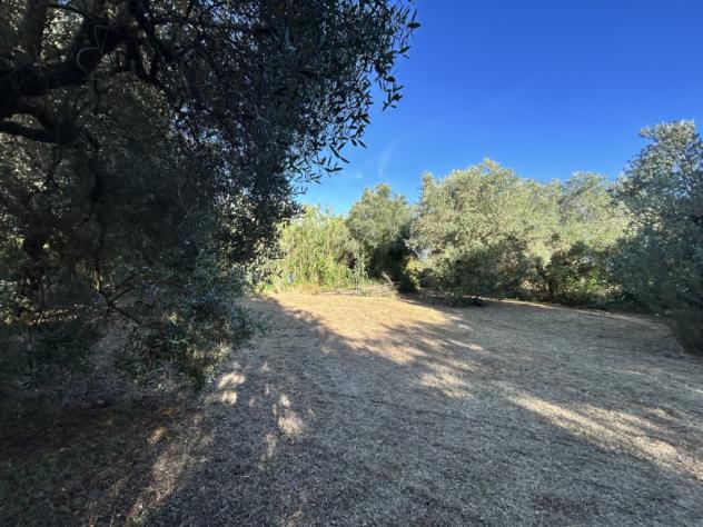 Agricolo in Via Cisternense - Foto 3