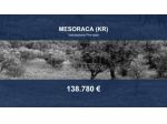 Immobile in asta di 56539 m² in vendita a Mesoraca