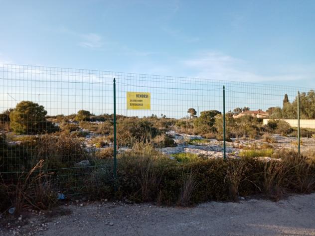 Area verde in vendita a Siracusa - Foto 5