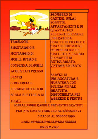 Sgomberi di cantine, solai, soffitte, appartamenti - Foto 5