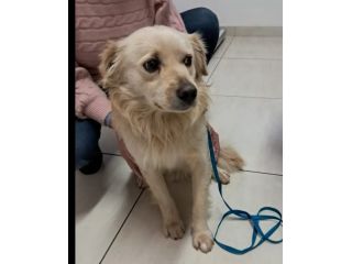 2anni kg12 maschietto sbattuto fuori casa.REGGIO CALABRIA