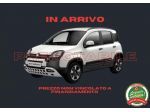 FIAT New Panda 1.0 PANDINA CROSS HYBRID rif. 24039443