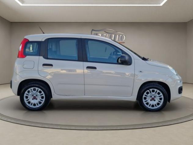 FIAT Panda 1.2 Easy rif. 24180409 - Foto 6