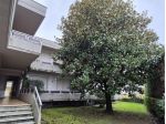 Appartamento in vendita a Marina di Massa - Massa 100 mq  Rif: 1406443