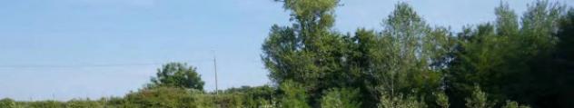 Immobile in asta di 3585 m² in vendita a Pozzo d'Adda - Foto 4
