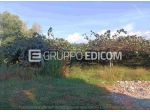 Terreno in vendita a Rizziconi - Rif. 4554893