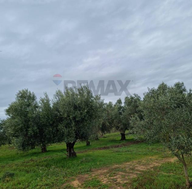Terreno in vendita a Vittoria - Foto 7