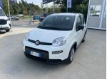 FIAT Panda 1.0 FireFly 70cv S&S Hybrid