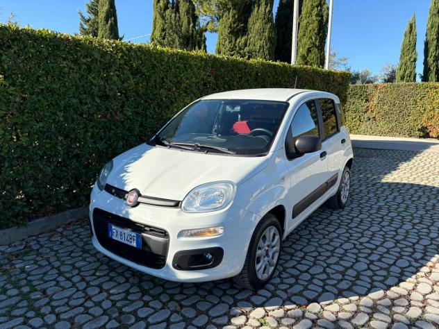 FIAT Panda 0.9Turbo S&S 4x4 Eld Pop N1-Van - 2019 - Foto 6
