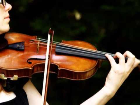 Violinista offresi