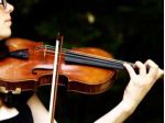 Violinista offresi